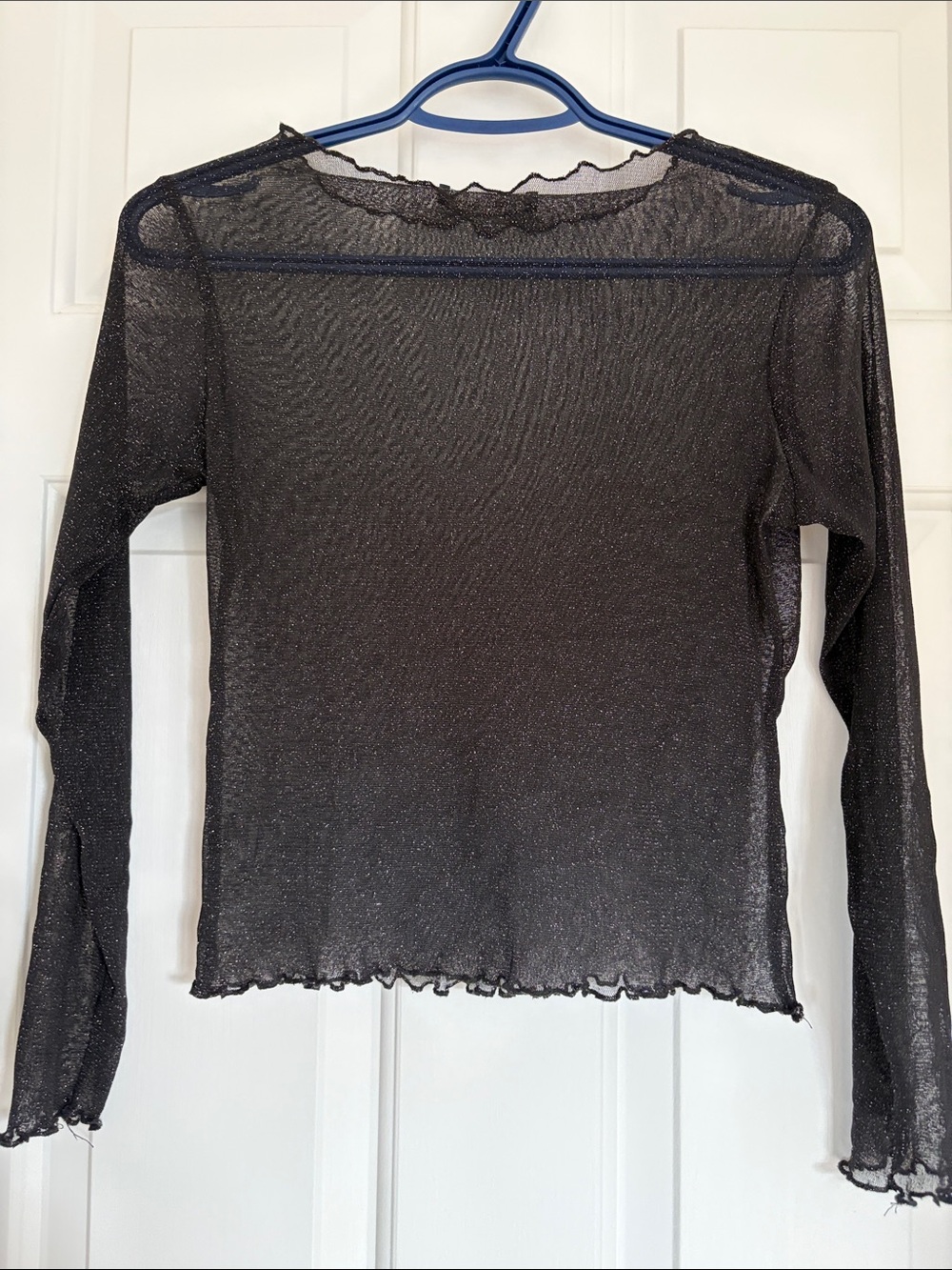 Brandy Melville Sheer Metallic Black Long-Sleeve Tee